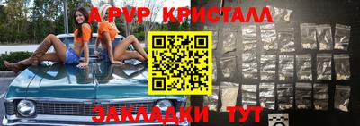 стаф Кинель