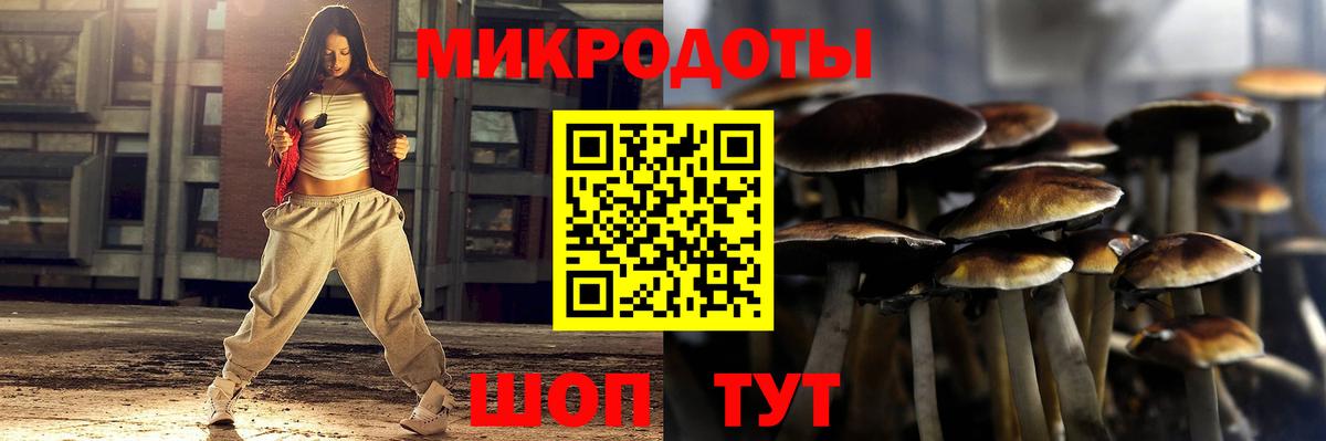 Кудымкар  Псилоцибиновые грибы Cubensis  Вход с VPN 